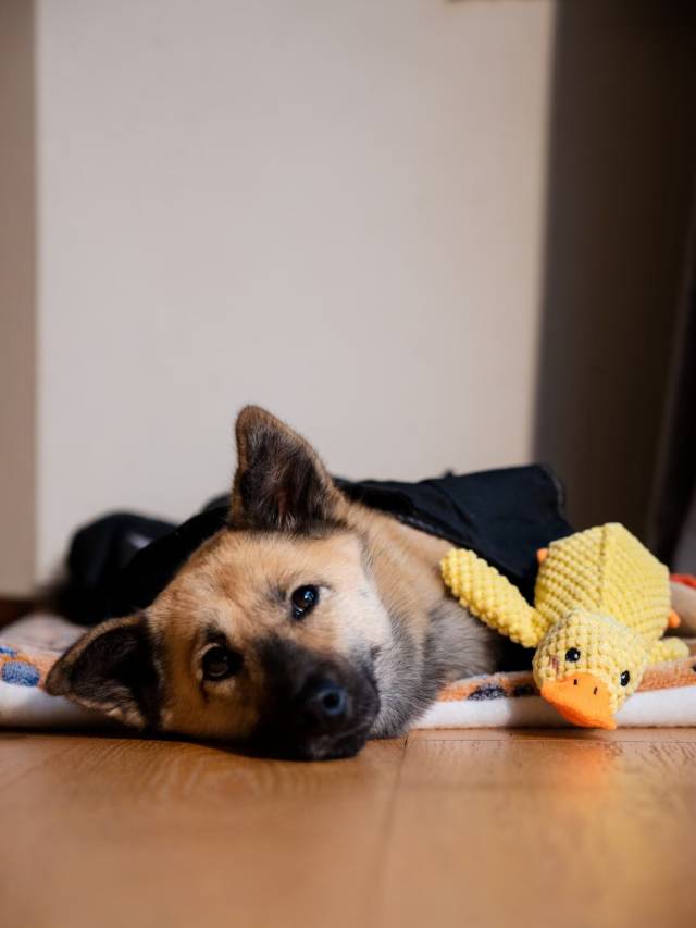 十钟山房(陈家铺店)图片