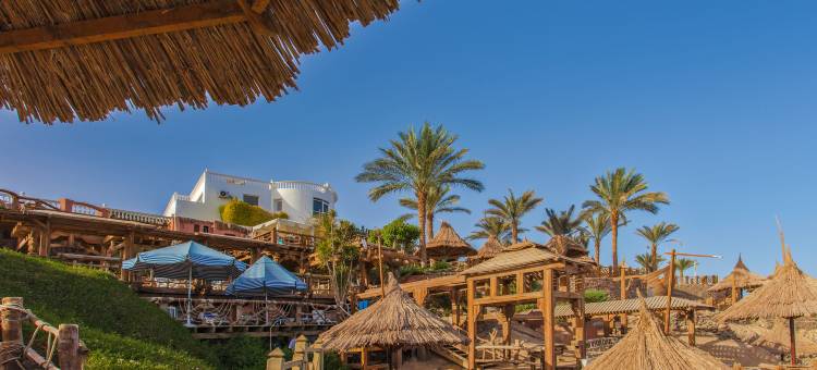 Pickalbatros 高尔夫海滩度假村 - 全包式(Pickalbatros Golf Beach Resort - All Inclusive)图片
