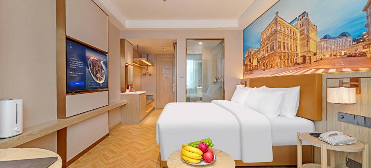 维也纳酒店(江孜宗山古堡店)图片