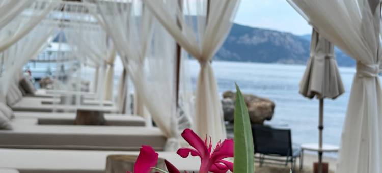 Z-Villas Beach Hotel图片