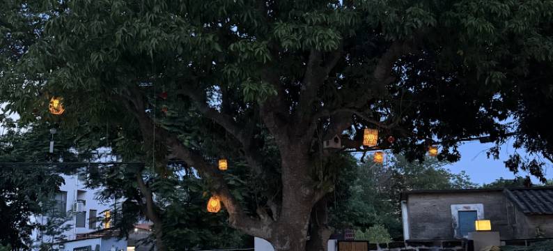 海川·渼樹(涠洲岛店)图片