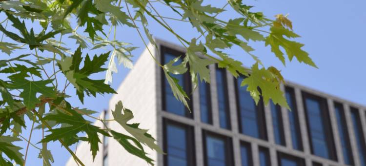 蠡县中泰开元名庭酒店图片