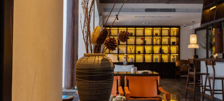 Dewild·栖野漫隅|侘寂风·咖啡·设计师美学庭院图片