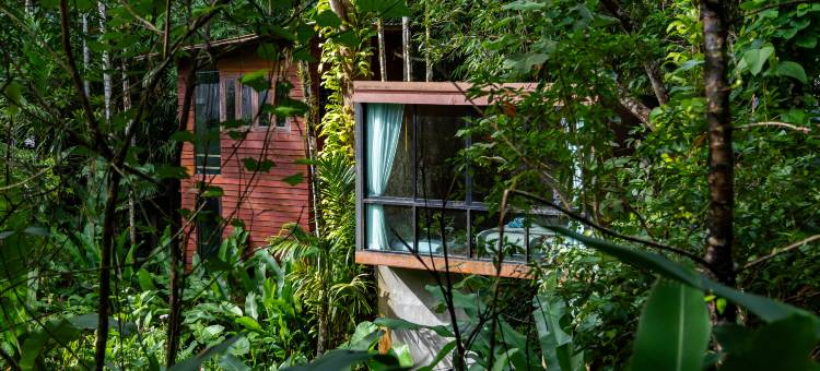 班奈蒙树屋(Bannaimong Treehouse)图片
