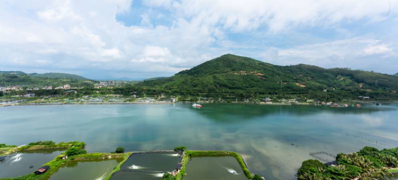 屿见万宁·神州半岛观塔海景冲浪美宿(Surf & Sleep)图片