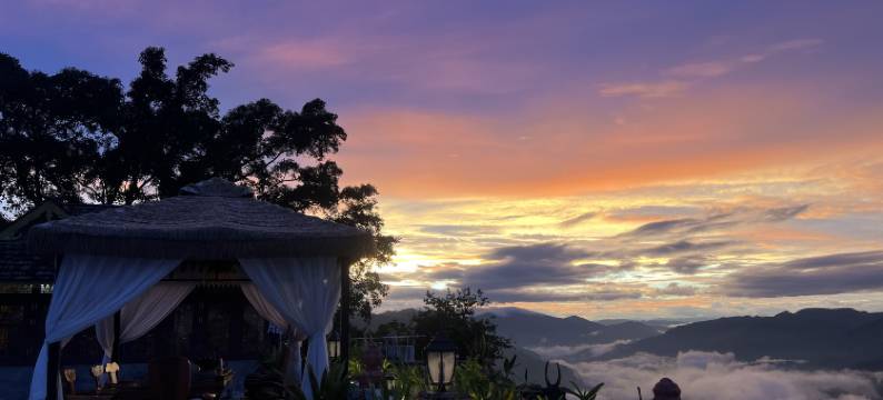 藤腊民宿(景迈山古茶林景区店)图片