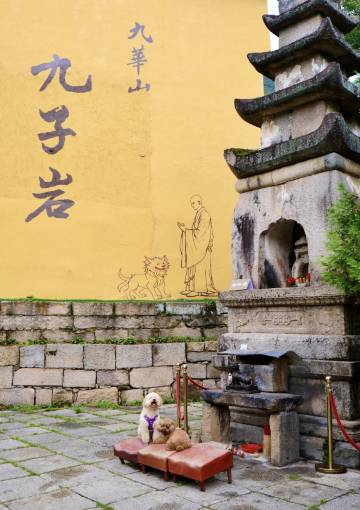 青阳聆溪雅筑民宿(九华山九子岩景区店)图片