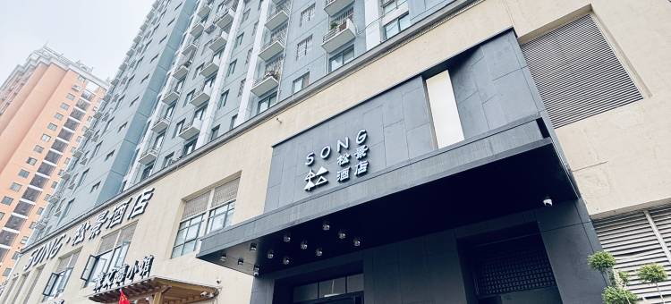 SONG·松景酒店(郑州高铁东站CBD国际会展中心店)图片