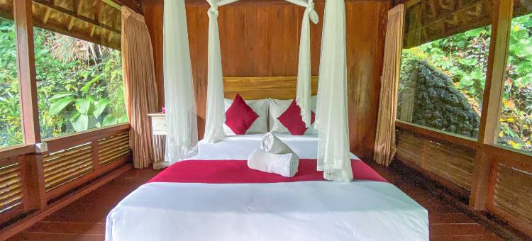 Bali Jungle Resort图片