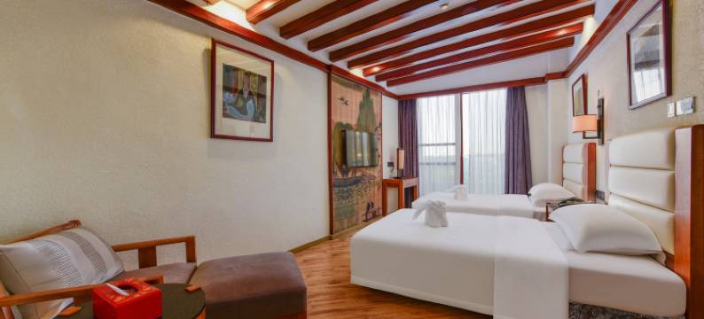 SOVIS索为斯艺术家园酒店(梅州客天下店)图片