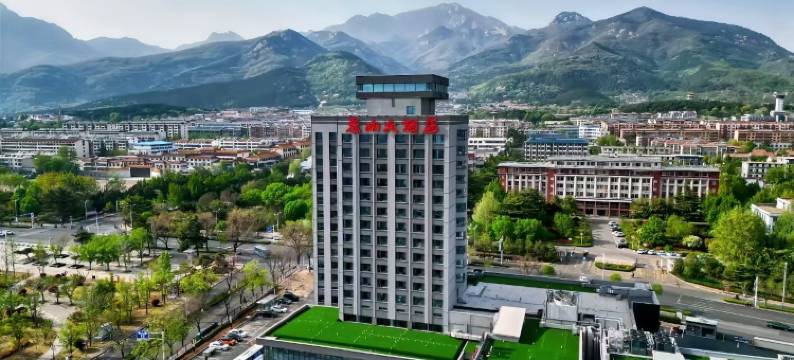 泰山大酒店图片