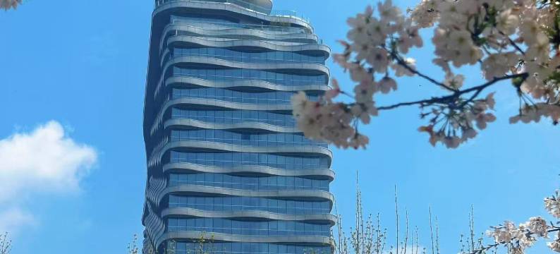 长沙施柏阁大观酒店(长沙高铁南站店)图片