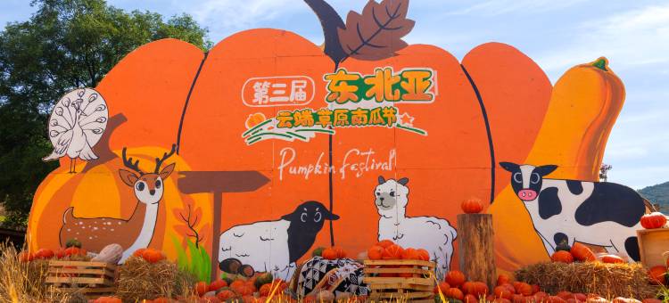 观山宿民宿(云端草原店)图片