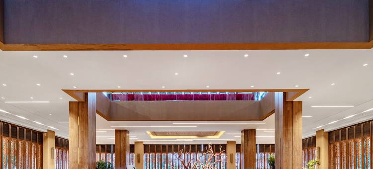 三亚湾红树林度假世界(皇后棕酒店)图片