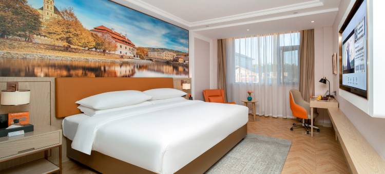 维也纳酒店(怀化麻阳县政府店)图片