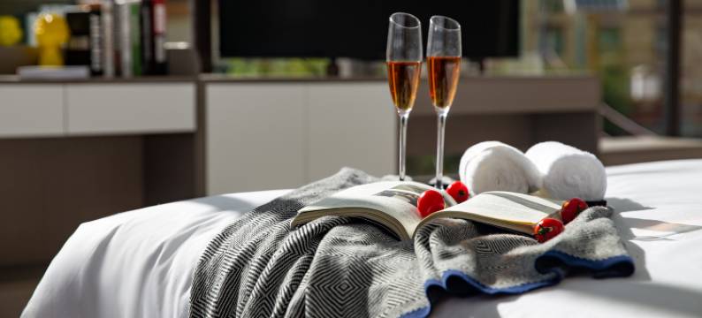 天府云逸大酒店(成都天府国际机场店)图片