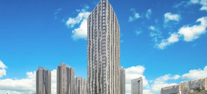 倾寓·瑰雲设计师公寓(西博城天府商务区地铁站店)图片