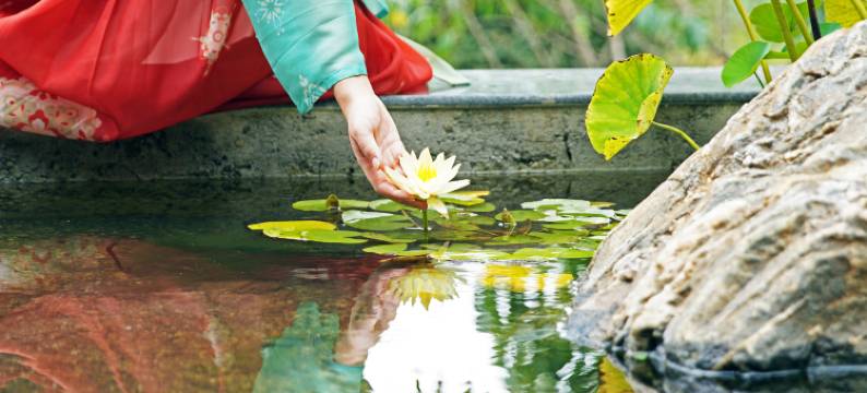 雅安遇见芳华精品民宿图片