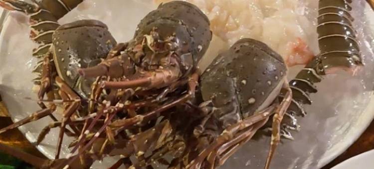 仙本那萤火虫度假村(The Firefly Resort Semporna)图片