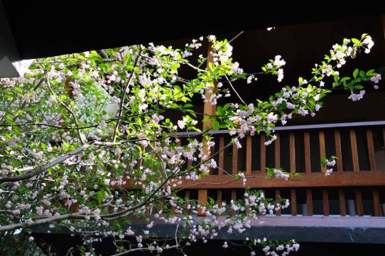 上海画一养生度假村图片