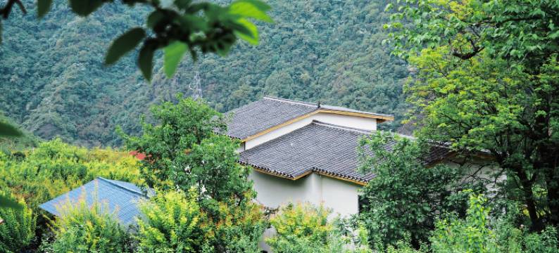 梅苑壹号民宿图片