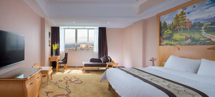 维也纳酒店(英德光明路店)图片