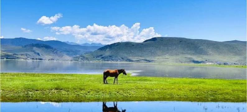 香格里拉·扎实农布·藏式禅意·观景庭院图片