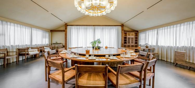 春风·白杨民宿图片