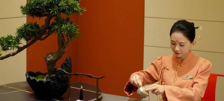 开元名庭酒店(银川兰傒谷商务广场店)图片