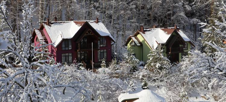 阿拉木图勒斯纳亚卡兹卡山度假村(Oi-Qaragai Mountain Resort)图片