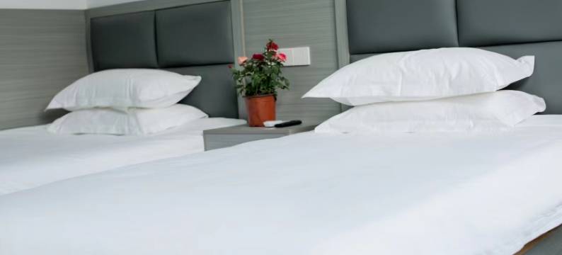 新昌浙新宾馆图片