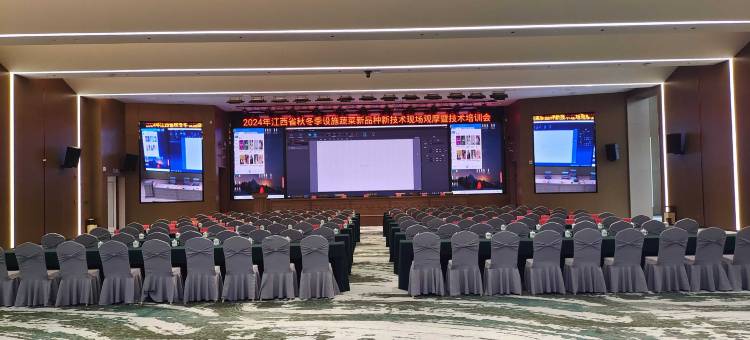 宁都翠微宾馆图片