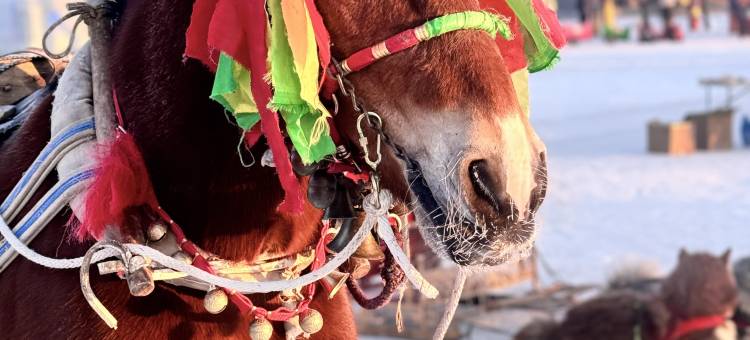 丽洁客栈(雾凇岛景区店)图片