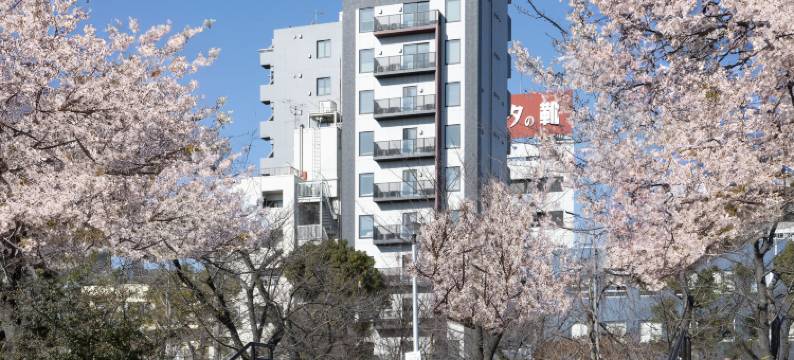stayme THE HOTEL浅草(stayme THE HOTEL Asakusa Riverside)图片