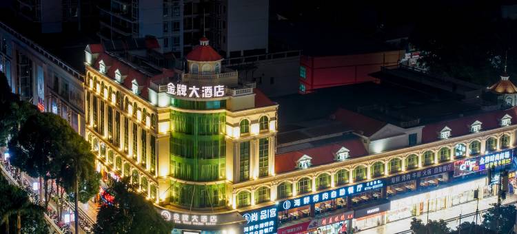 百色金牌大酒店(森林中心城店)图片
