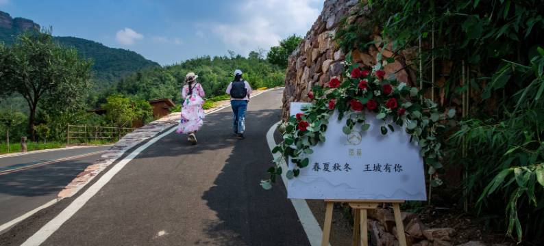 武安王坡民宿图片