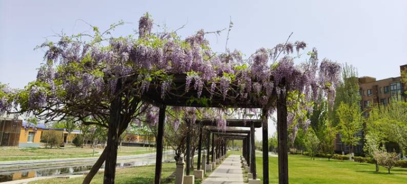 天津凯莱酒店图片