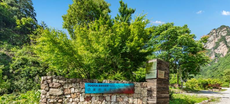 回家的孩子·涧外栖境民宿(张家界国家森林公园店)图片