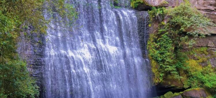 古蔺沉香缘精品客栈(天立酒街店)图片