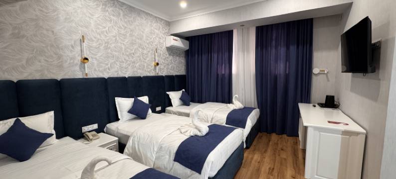 尼扎莫夫酒店(Nizamov Hotel)图片