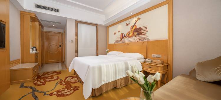 维也纳酒店(防城港防城店)图片