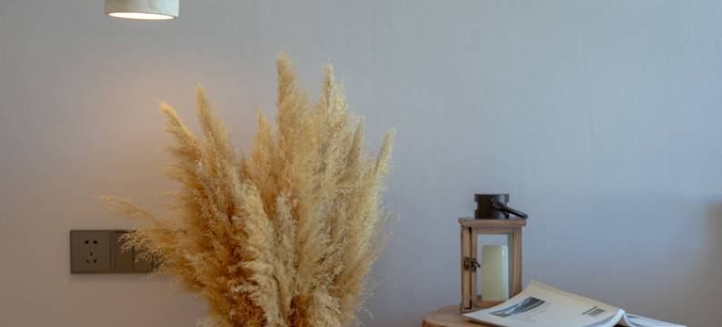 喀纳斯回家·悠山雅居图片