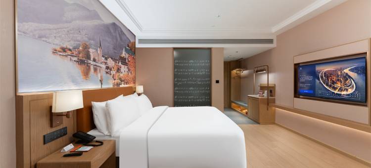 维也纳酒店(阳江市青少年宫店)图片