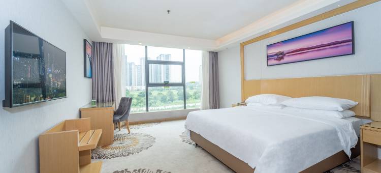 维也纳酒店(广州花都融创文旅城热雪奇迹店)图片