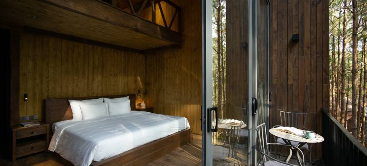 Mơ住宿-森林度假村(Mo Stay - Forest Resort)图片