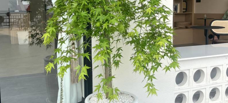 燕洲岛民宿(台山尾角湾店)图片