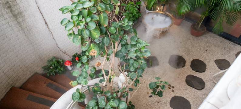 佛山清松里民宿(顺峰山公园店)图片