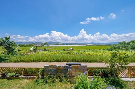 抚仙湖霞客云栖民宿图片