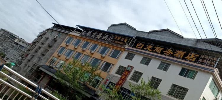 白龙商务宾馆图片