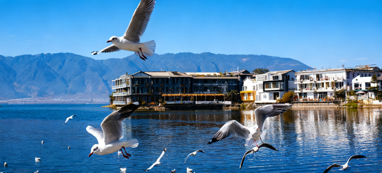 瑞都智慧酒店(大理高铁站洱海公园店)图片